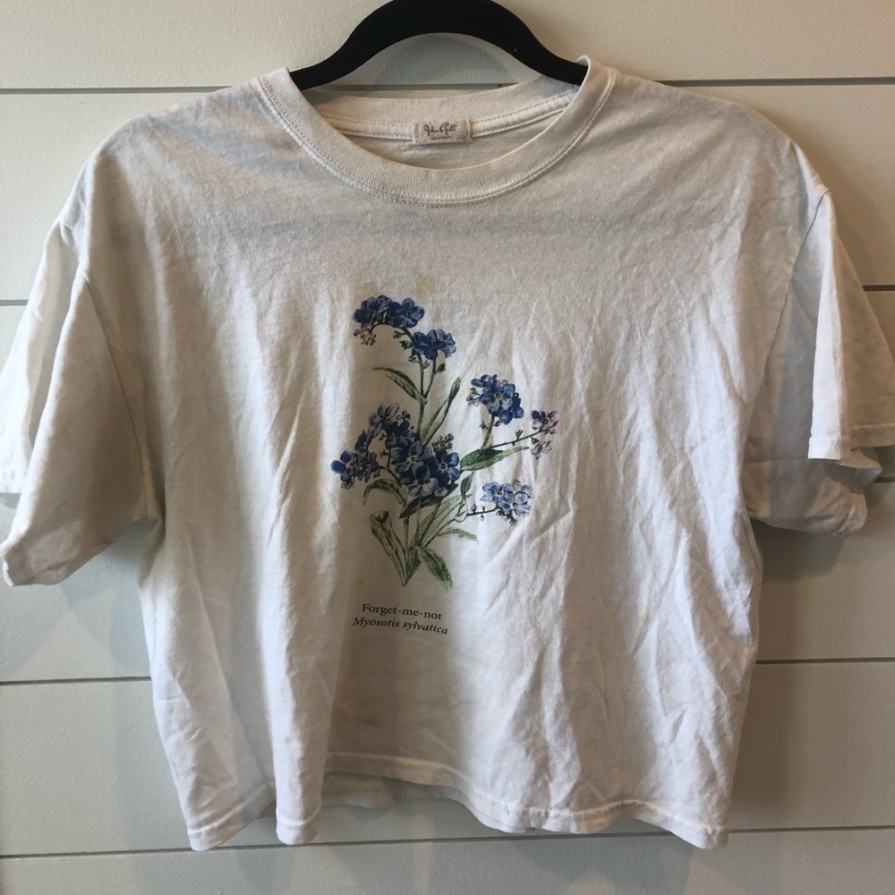 Brandy Melville Crop Top